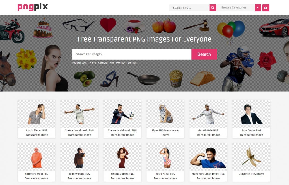 Best Websites to Download Transparent PNG Images